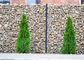 الزنك الثقيلة المغلفة المجلفن جدار سلة ساحة هول الشكل للحدائق / الحدائق
